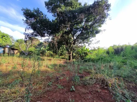 Área no Jardim Petropólis