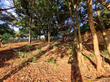 Área no Jardim Petropólis