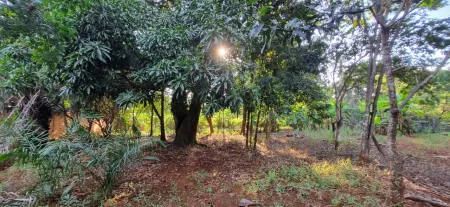 Área no Jardim Petropólis