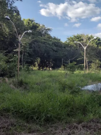 Chácara em Aragoiânia