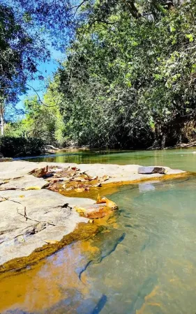 Chácara em Aragoiânia