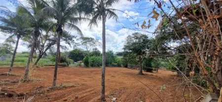 Chácara Bairro Cardoso