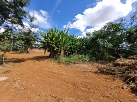 Chácara Bairro Cardoso