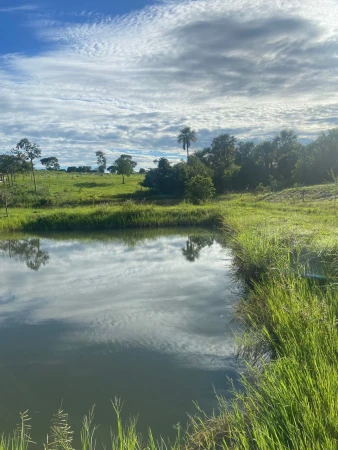 Fazenda em Nova Crixás