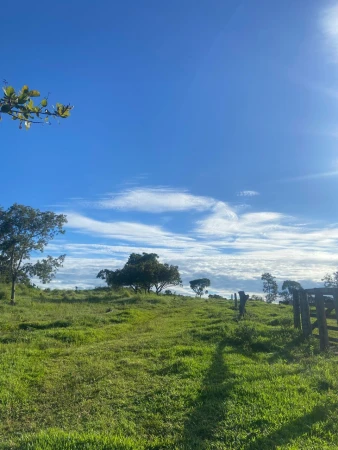 Fazenda em Nova Crixás