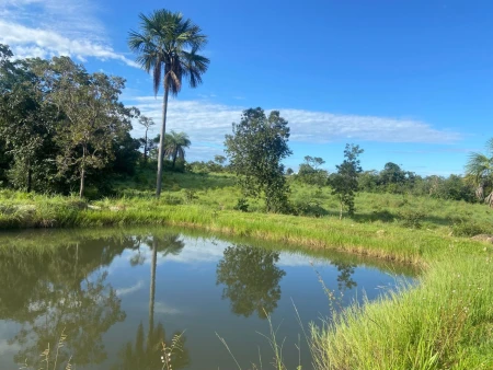 Fazenda em Nova Crixás