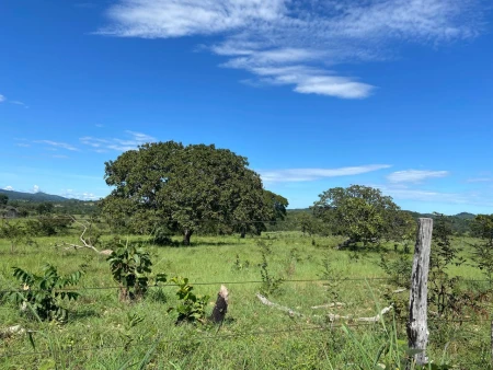Fazenda em Nova Crixás