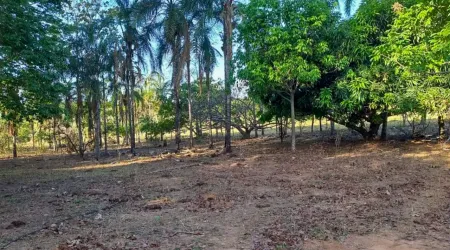 Chácara em Bela Vista de Goiás