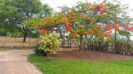 Chácara em Bela Vista de Goiás