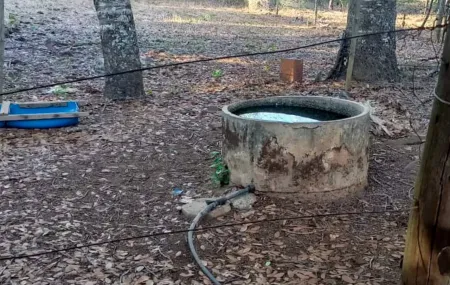 Chácara em Bela Vista de Goiás