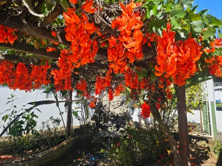 Chácara no Jardim Cristal
