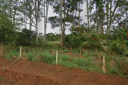 Área em Hidrolândia