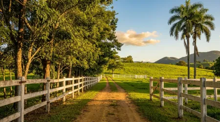 Fazenda em Israelândia