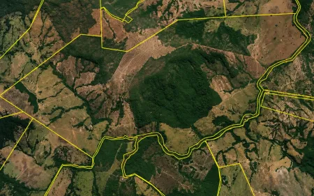 Fazenda em Israelândia