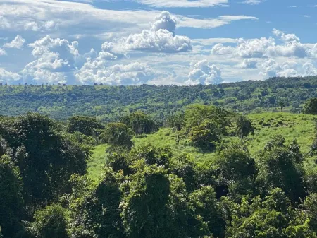 Fazenda em Israelândia