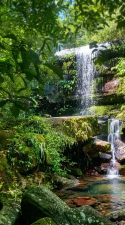 Fazenda em Israelândia