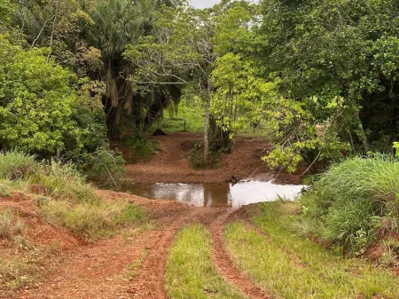 Fazenda em Israelândia