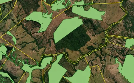 Fazenda em Israelândia