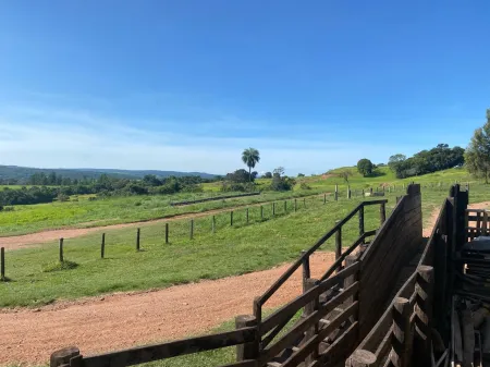 Fazenda em Israelândia