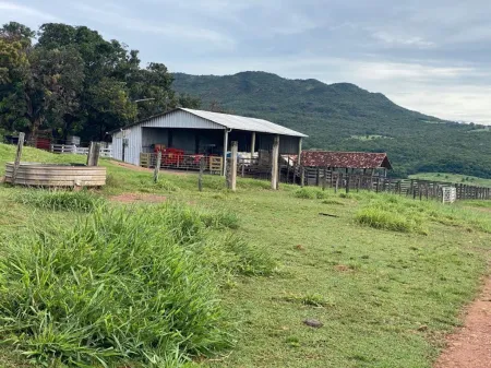 Fazenda em Israelândia