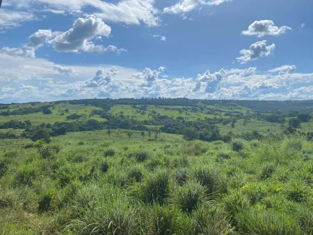 Fazenda em Israelândia
