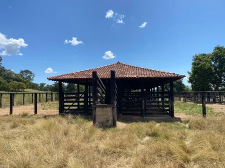 Fazenda em Israelândia