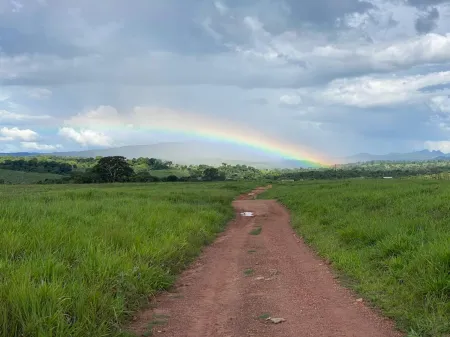 Fazenda em Israelândia