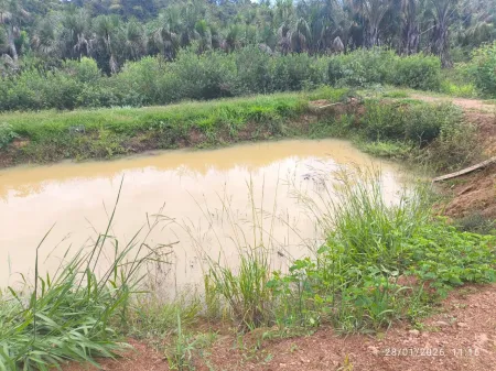 Terreno em Condomínio Fazenda das Flores