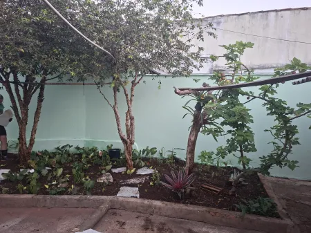Lote no Jardim América