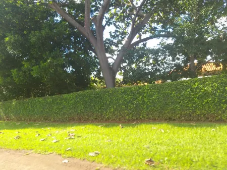 Chácara no Sítio de Recreio Paraíso Tropical
