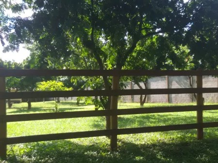 Chácara no Sítio de Recreio Paraíso Tropical