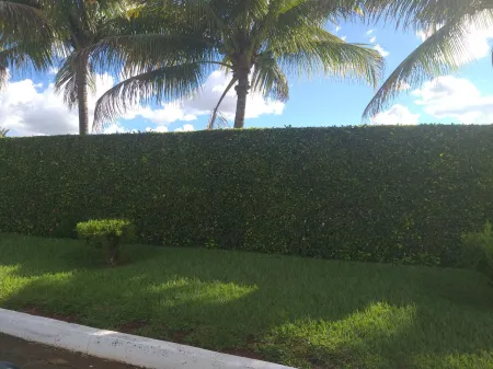 Chácara no Sítio de Recreio Paraíso Tropical