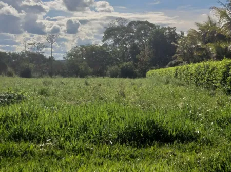 Chácara no Sítio de Recreio Paraíso Tropical