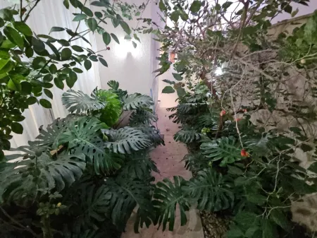 Sobrado no Jardins Verona