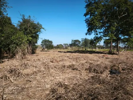 Terreno Sítios de Recreio Mansões do Campus