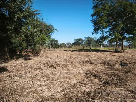 Terreno Sítios de Recreio Mansões do Campus