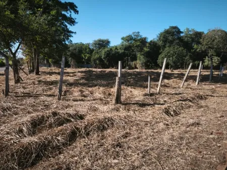 Terreno Sítios de Recreio Mansões do Campus