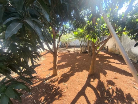 Casa no Jardim Helvecia