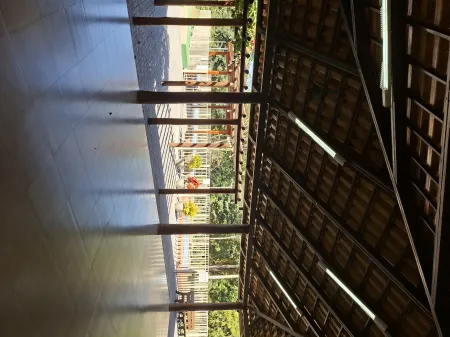 Bosque das Orquídeas