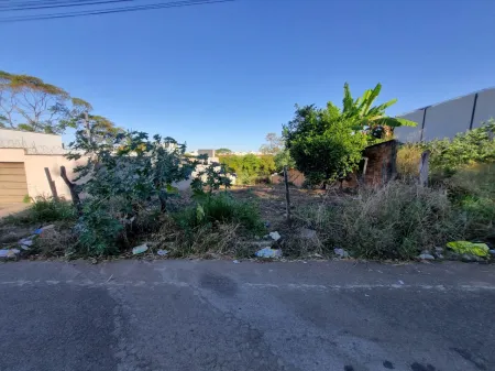 Lote Setor Parque das Nações