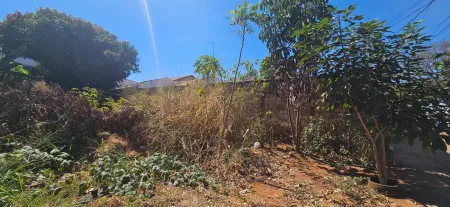 Terreno Jardim Bela Vista