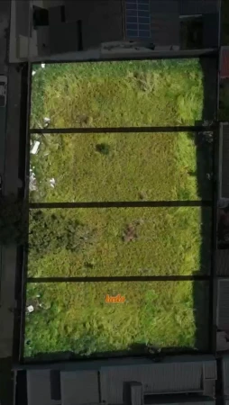 Lote no Jardim Europa