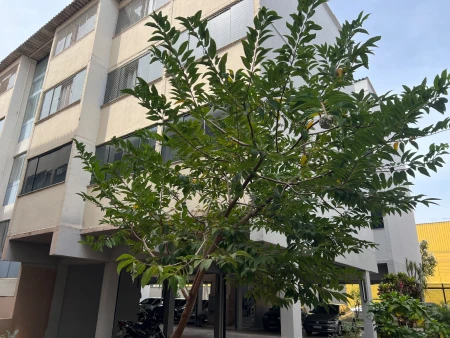 Condomínio Gardênia
