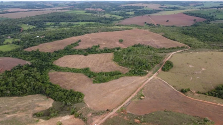 Fazenda em Silvânia