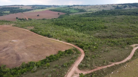 Fazenda em Silvânia