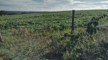 Fazenda em Silvânia