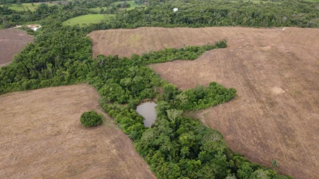Fazenda em Silvânia