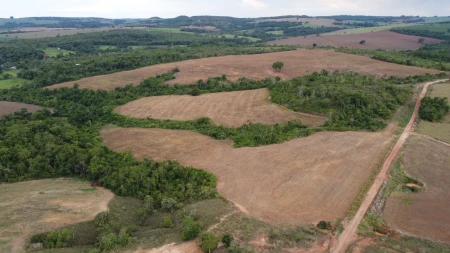 Fazenda em Silvânia