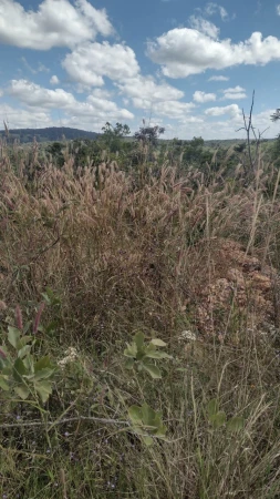 Fazenda em Silvânia