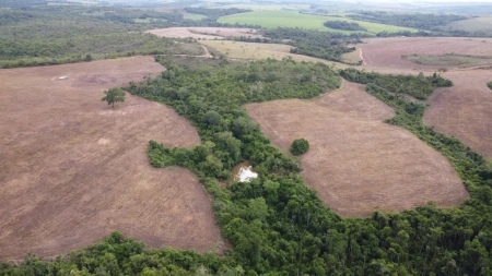 Fazenda em Silvânia